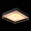 Светильник потолочный ST Luce Chodo SL1127.422.05
