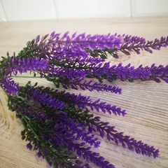 Зелень Лаванда 5 веточек