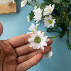 Ромашка аптечная, реалистичная, искусственные цветы, 5 веток, 39 см, набор 1 букет.