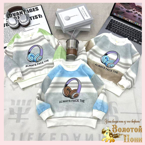 Свитшот хлопок м (2-7) 251026-А771