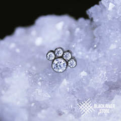 Teddy Paw IG Crystal