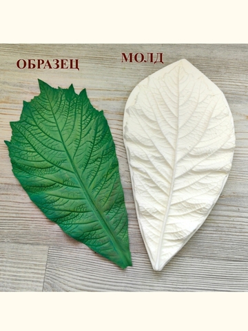 Молд лист 26х13см 