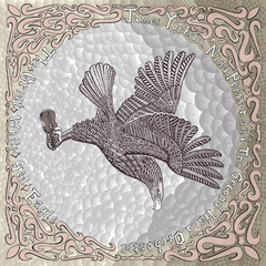 James Yorkston, Nina Persson And The Second Hand Orchestra / The Great White Sea Eagle (LP)