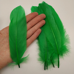 Перья гуся 15-20 см.(10 шт.) (выбрать цвет)