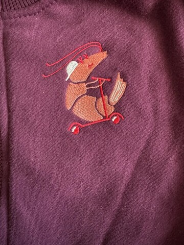 Костюм креветка, Слива