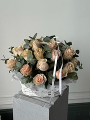 собран сегодня #20