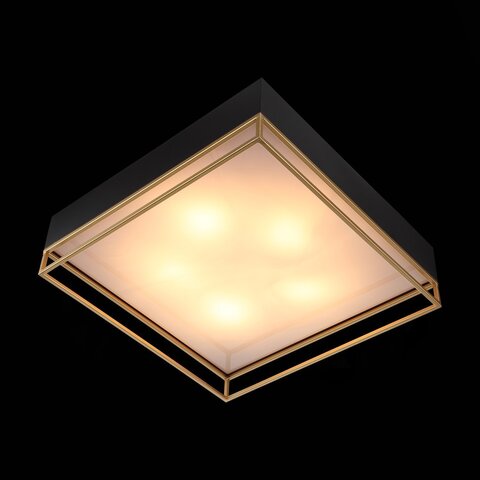 Светильник потолочный ST Luce Chodo SL1127.422.05