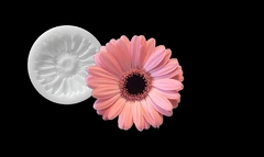 Силиконовый молд 