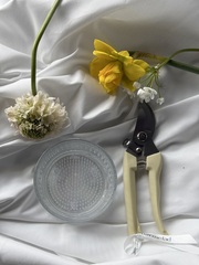 Набор для композиции на кензане