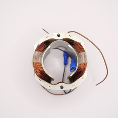 Запчасть №50 для CAYKEN SCY-18/2PA. Статор