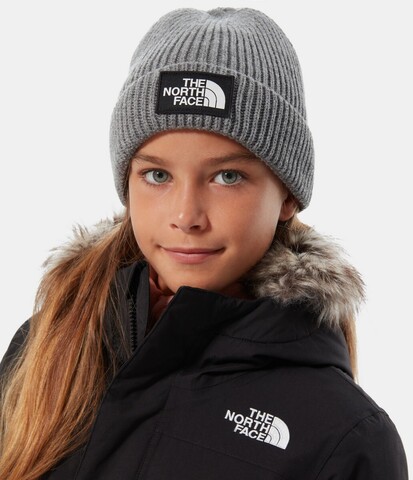 Картинка шапка The North Face Youth Logo Box Cuff Beanie medium - 2