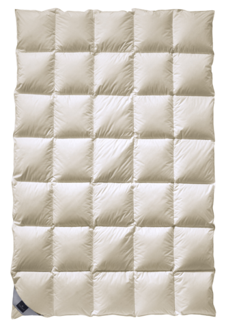 Одеяло пуховое 155х220 Billerbeck Duchessa Mono