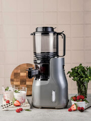 Соковыжималка KING MIX C-300