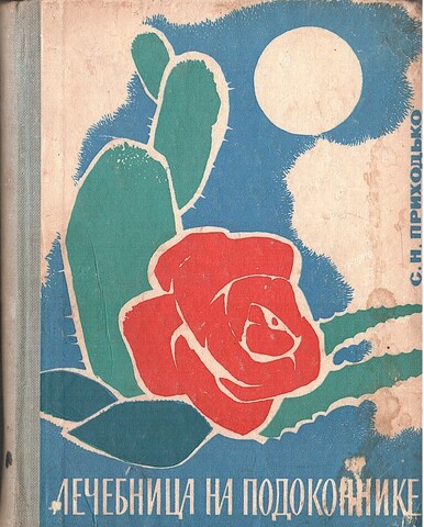 Лечебница на подоконнике