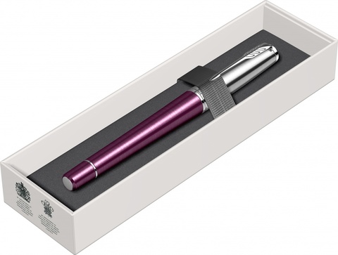 Ручка-роллер Parker Urban Premium T310, Dark Purple CT (1931570)