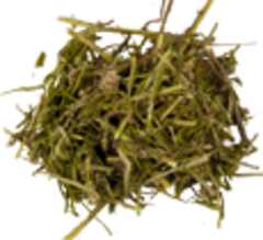 Соссюрея иволистная (трава)