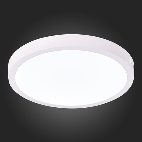 Светильник настенно-потолочный ST Luce ST112.542.24