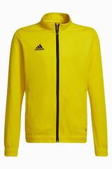 Кофта adidas Entrada 22 Track Junior