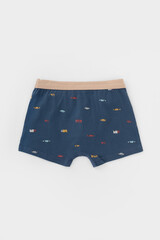 трусы/ уп  для мальчика  К 1980-2уп/бежевый,грозовая туча,транспорт