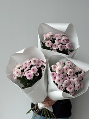 Охапка кустовых хризантем в розовом оттенке матис дейзи 5 шт