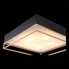 Светильник потолочный ST Luce Chodo SL1127.422.05
