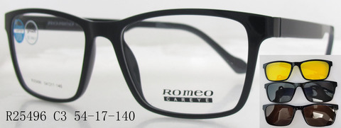 R25496