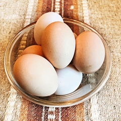 Яйца домашние / 1 десяток