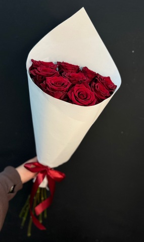 Роза бордовая Эксплорер