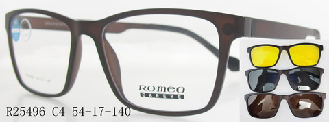 R25496