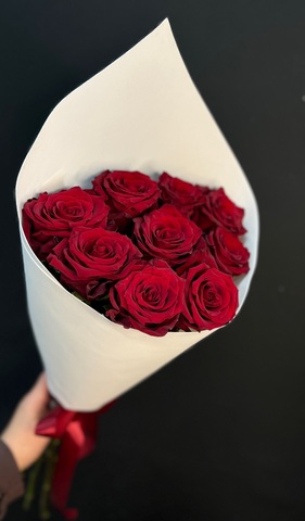 Роза бордовая Эксплорер