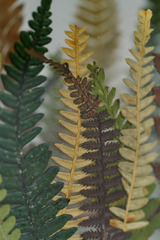 Стеклянная салфетница с гербарием из сухоцветов, 12х9х4 см, Россия