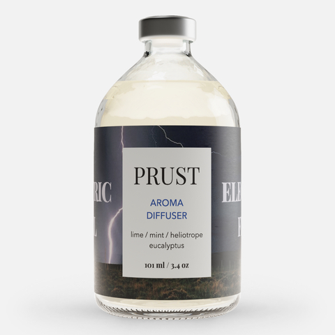 PRUST Диффузор Как удар током (лайм, мята, эвкалипт, гелиотроп)