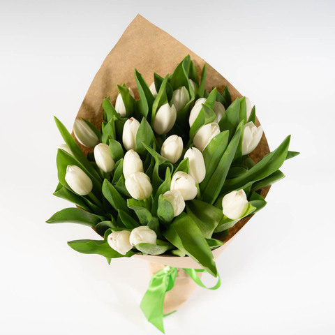 Букет 25 белых тюльпанов в упаковке