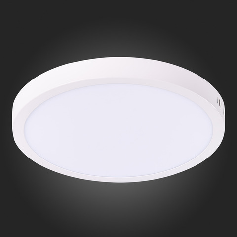 Светильник настенно-потолочный ST Luce ST112.542.24
