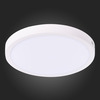 Светильник настенно-потолочный ST Luce ST112.542.24