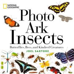 Photo Ark Insects