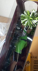 Рейнбоу Хай Чирлидер Джейд Хантер - КОРОБКА ПОВРЕЖДЕНА