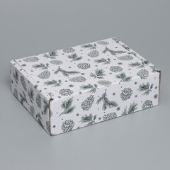 Коробка сборная одиночная Прямоугольник, «Шишки», 27*21*9 см