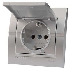 DERIY 702 2828 123 Розетка с/з. с крышкой серебристый металлик керамика