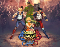 Double Dragon Gaiden: Rise Of The Dragons (для ПК, цифровой код доступа)