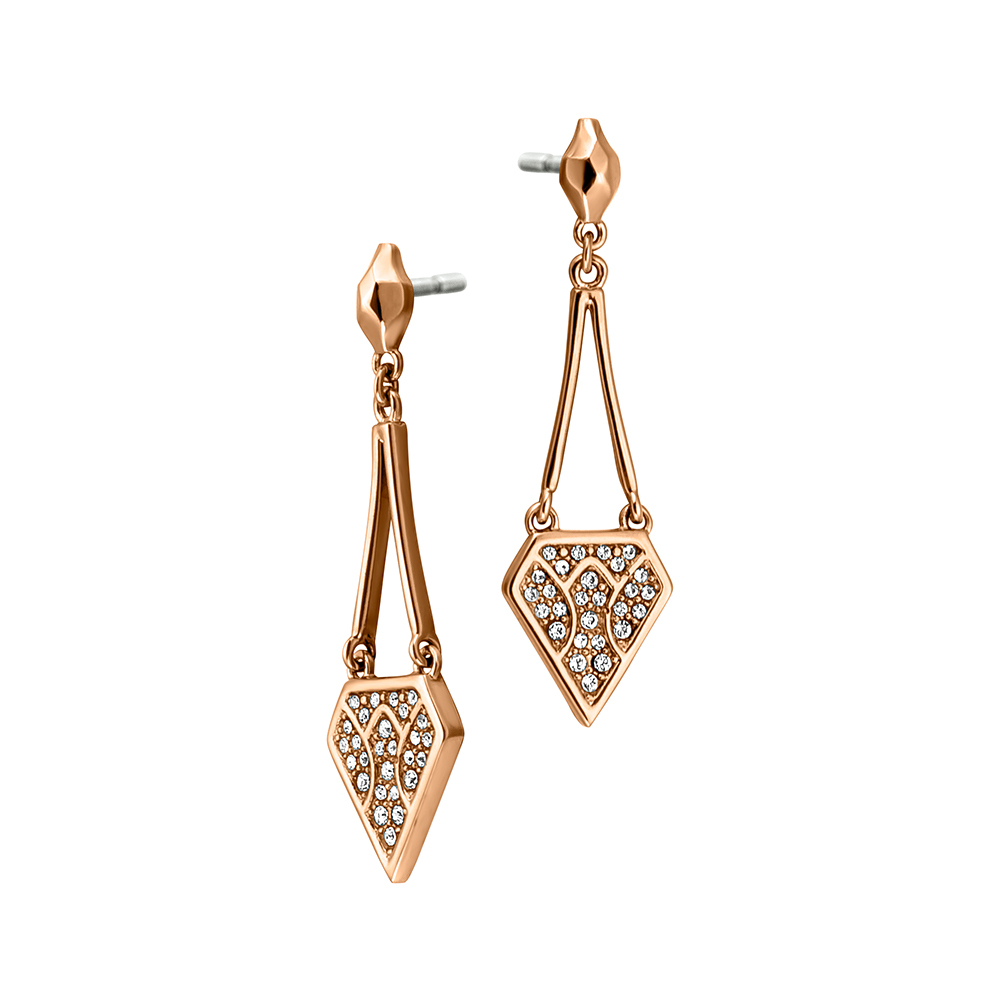 

Just Cavalli JCER00260300