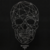 Футболка Wicked One Skull Line
