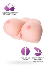 Мастурбатор Fleshy Teaser в виде груди с вагиной - 