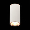 Светильник потолочный ST Luce ST111.527.01