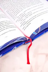 Светлый пепел луны. Книга 1 (коллекционное издание)