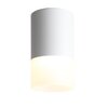Светильник потолочный ST Luce Ottu ST100.542.05