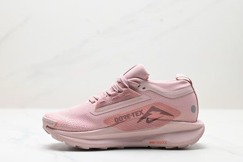 Nike Pegasus Trail 5 GORE TEX 'Pink Oxford' 
