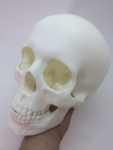 Белый PETG-пластик BestFilament