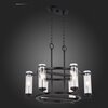 Люстра подвесная ST Luce Bichero SL334.403.06