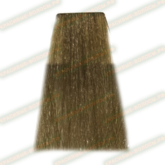 Paul Mitchell Теплый бежевый 8WB 8/03 Permanent Hair Color the color XG 90 ml